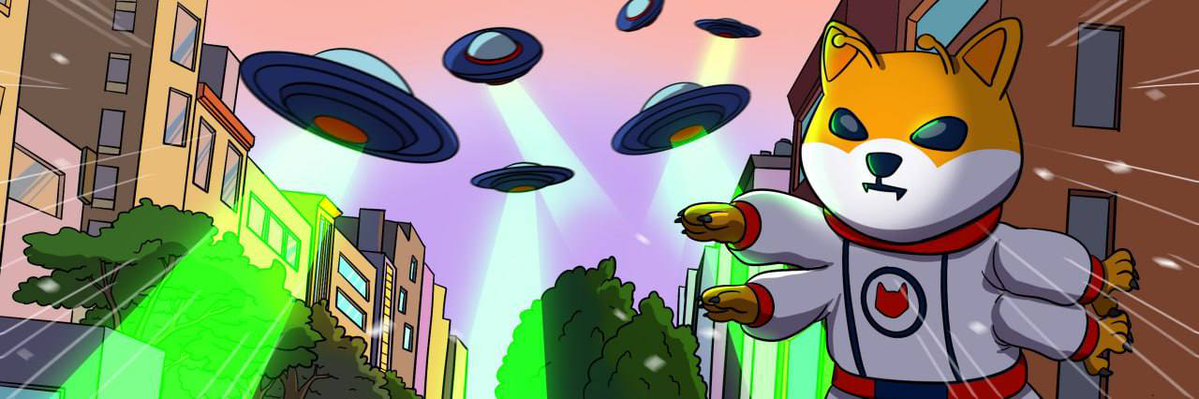 Ninja_120 tweet media