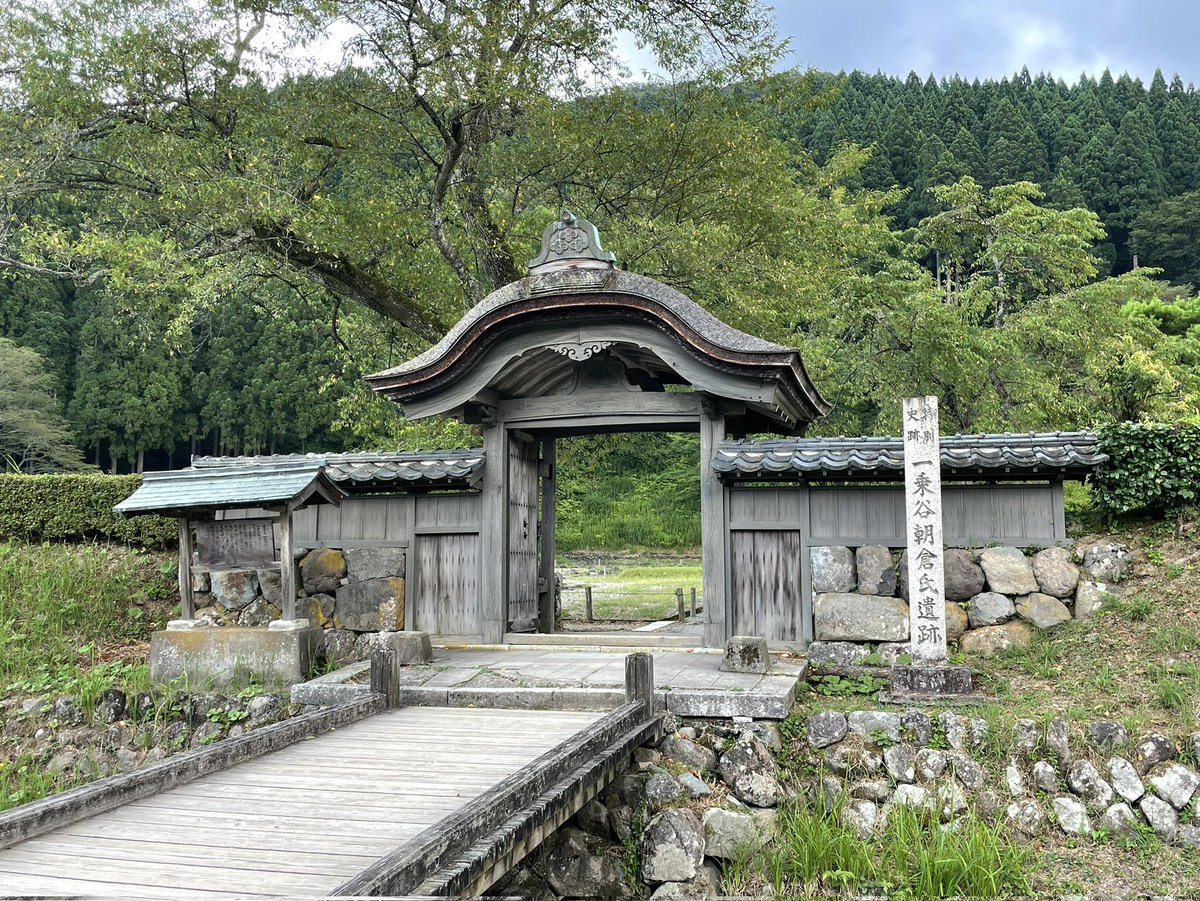 菜っピー tweet media