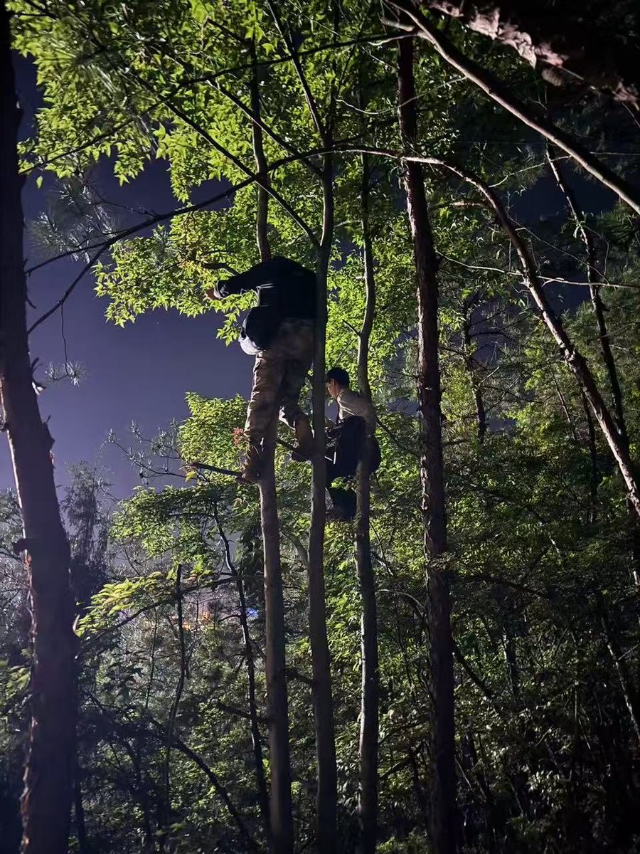 หลังจากที่ปีนแล้ว ยึดเกี่ยวกับกิ่งก้านต้นไม้แล้ว ยังต้องถือกล้องแพงๆถ่ายอีกนะคะ โอ้วว😮😂👍