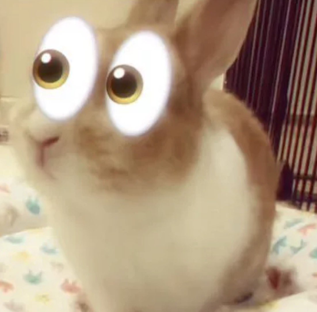 Nik 🐰🔞 tweet media