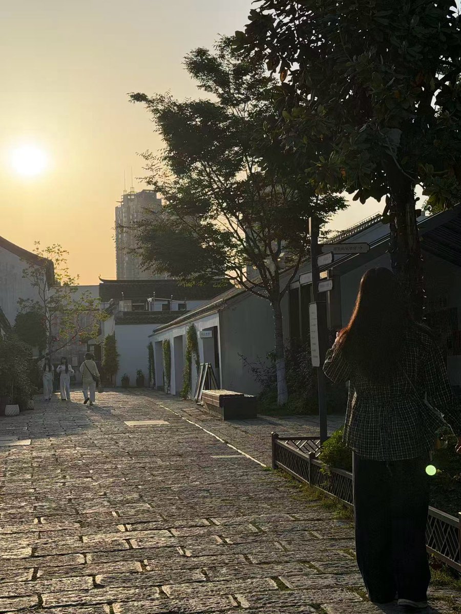 野猪老师的树洞。 tweet media