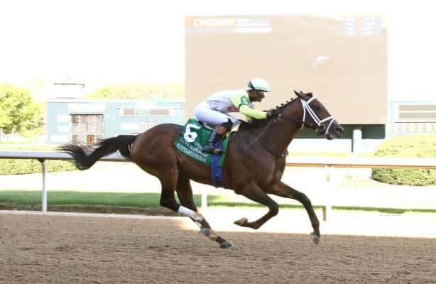 Named after a sensational racehorse, Friday's Alysheba, led by Skippylongstocking and Baeza, has my full attention 🔥🏇
horseracingnation.com/blogs/zatt/Zip…