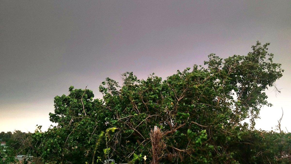 theskyaddictt's tweet photo. the kinda weather i crave for https://t.co/NPxodv642m