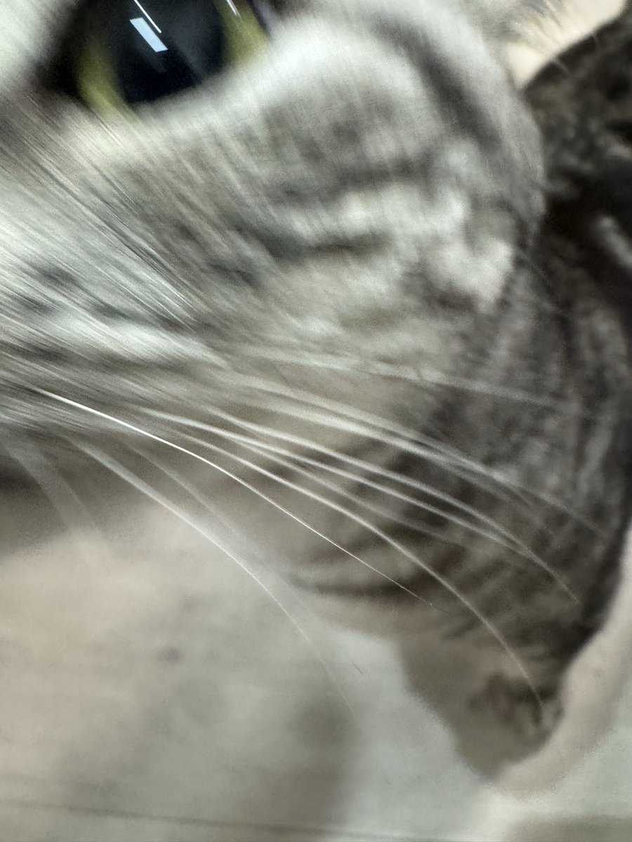 瀬戸あさひ tweet media