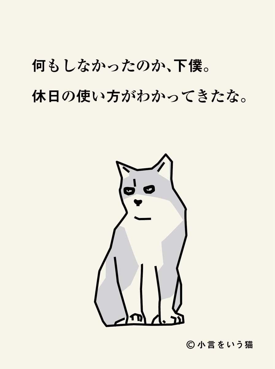 小言をいう猫 tweet media