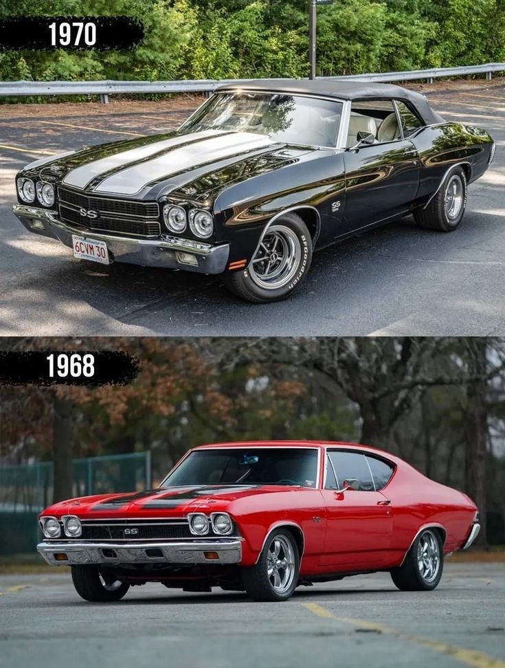 Vintage Cars Collection tweet media