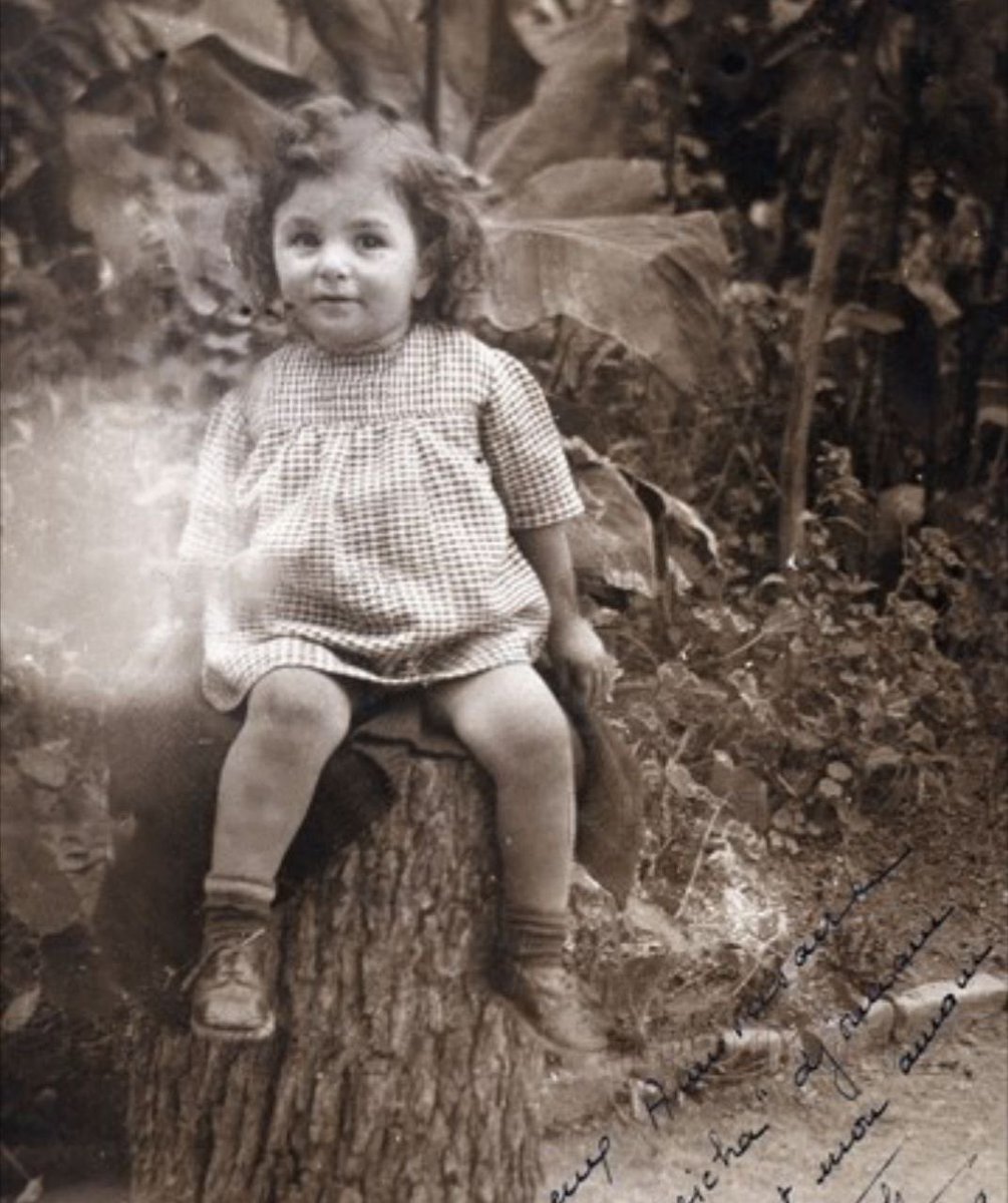 سردار بهرام رادان | Bahram Radan tweet media