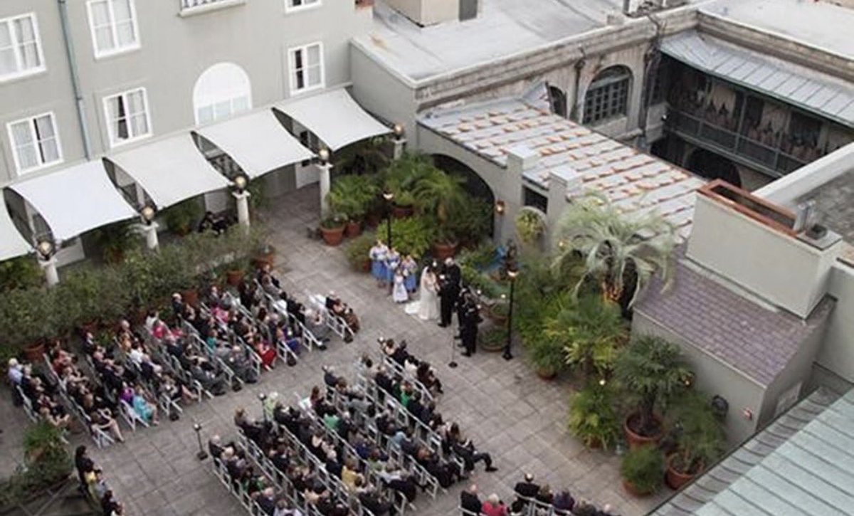 대한고양이(Daehan Kitty)😼 tweet media