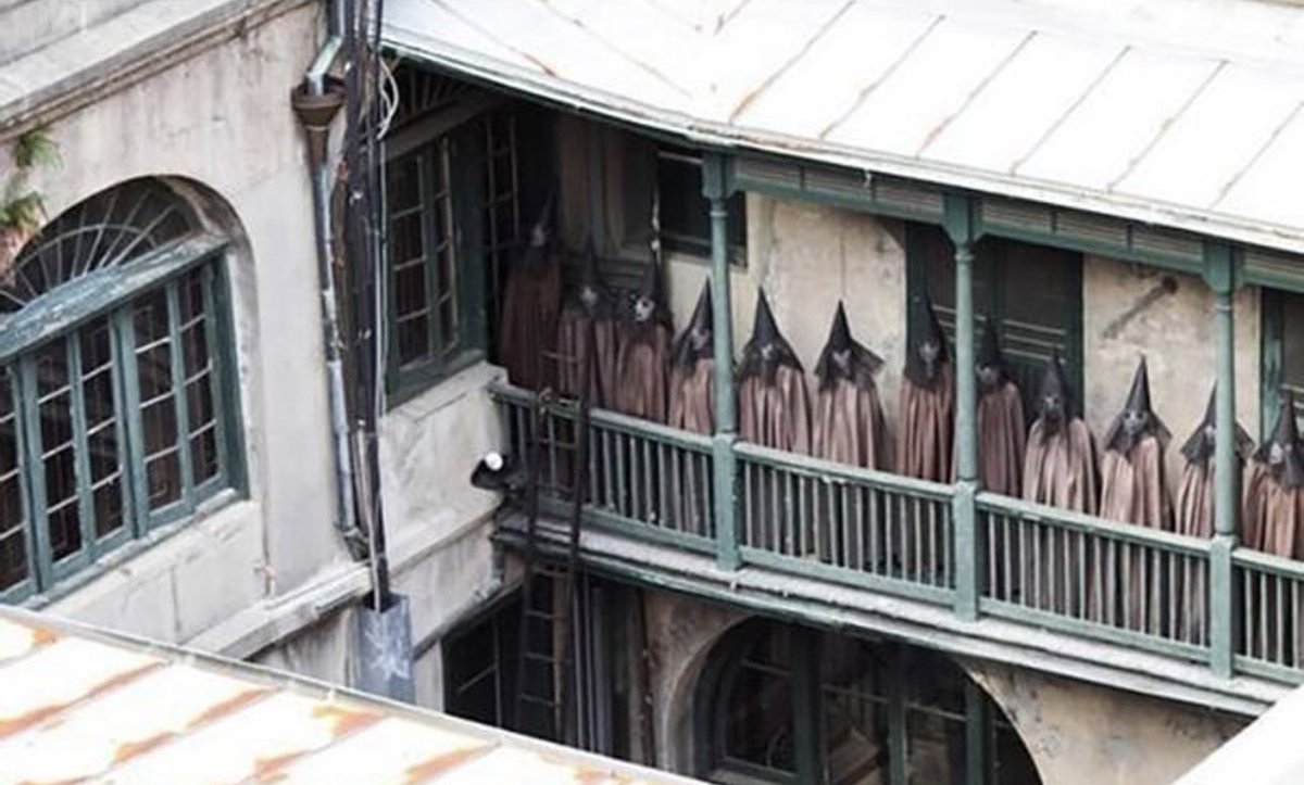 대한고양이(Daehan Kitty)😼 tweet media