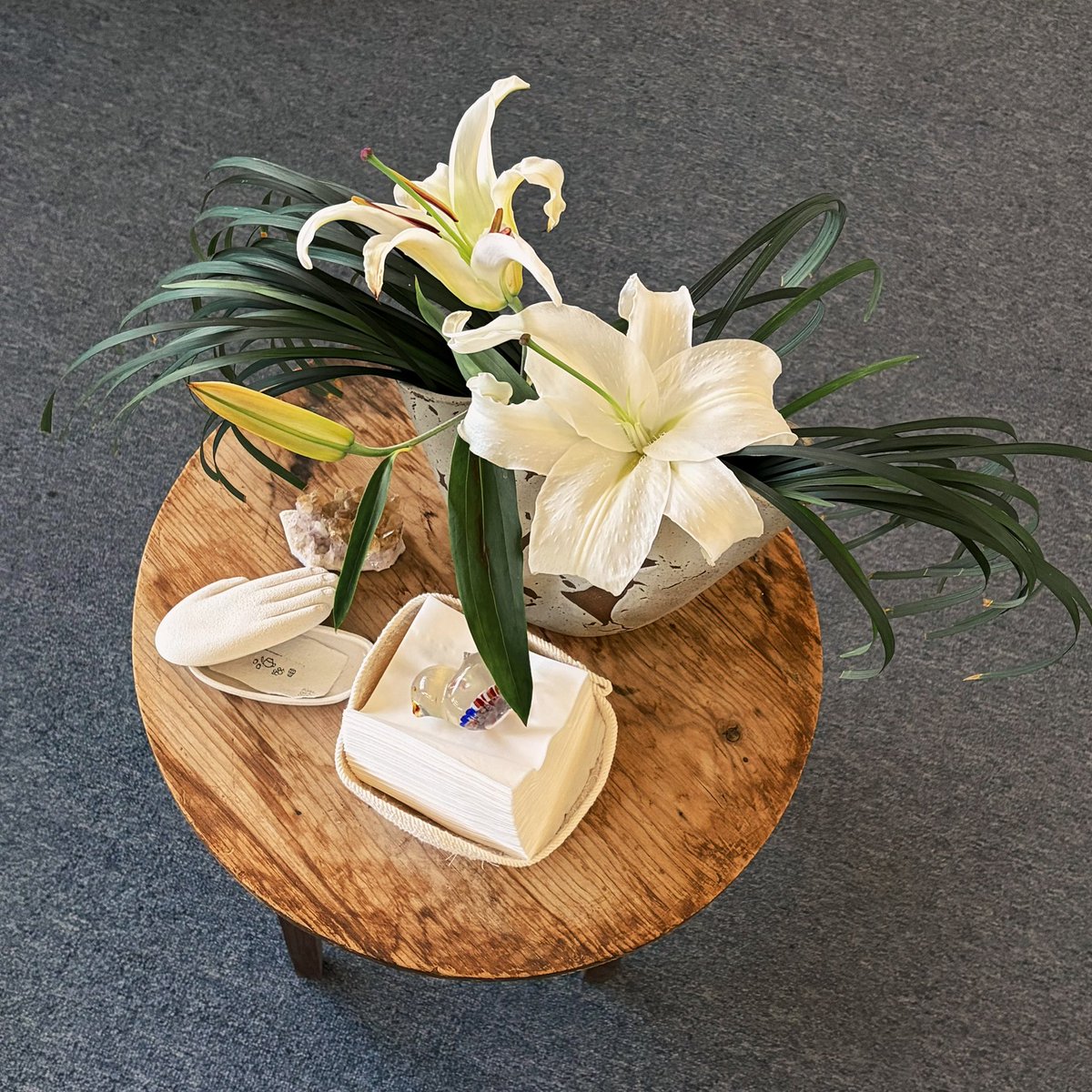 𖦹﹏𖦹 tweet media