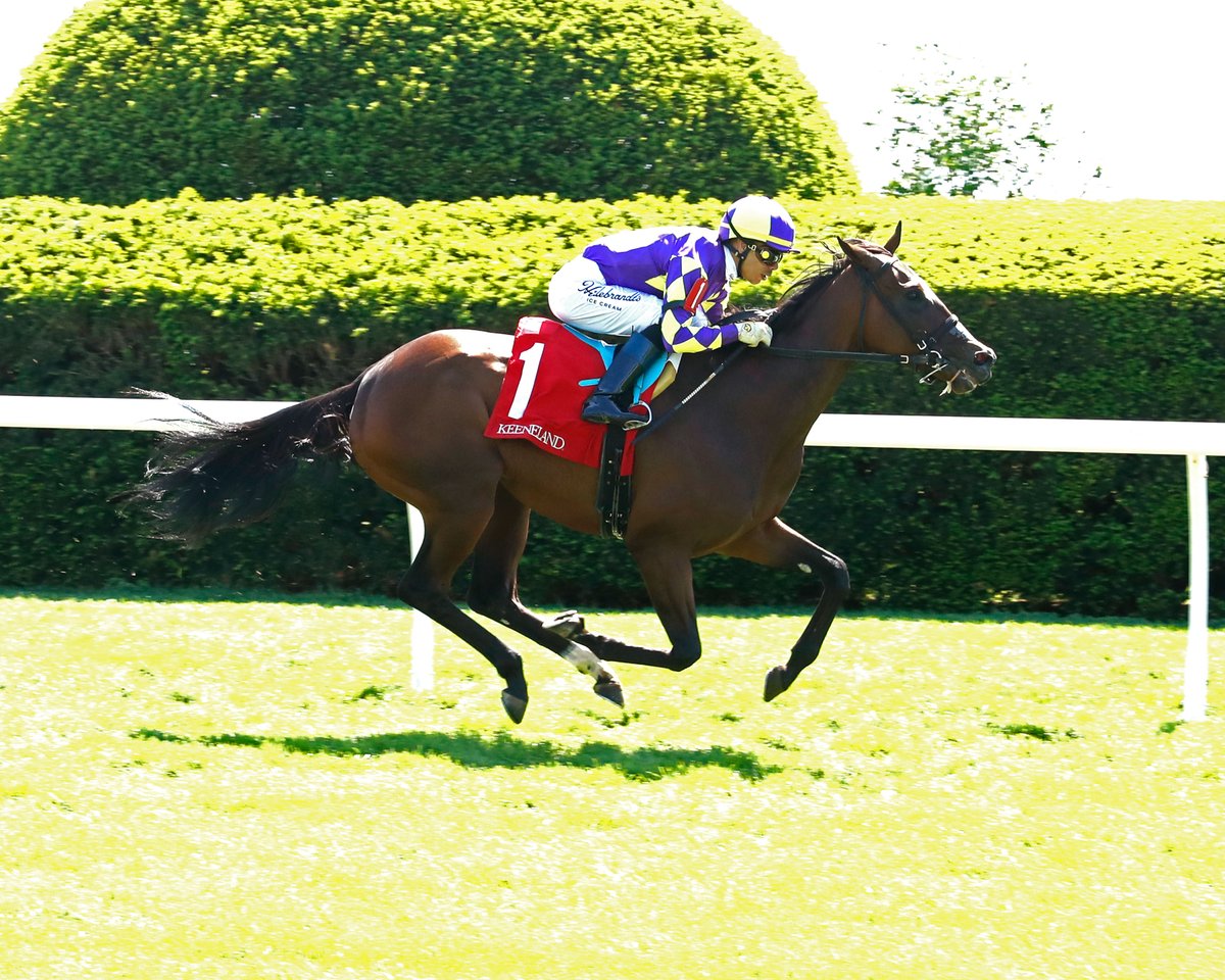zonahipica's tweet photo. Lovely Emma 🇺🇸 (Twirling Candy – Salsa Diavola por Mineshaft), superior desde el tramo decisivo, ganó, en la carrera #6 (Allowance) de @keeneland #22Abr, e hizo tiempo ⏱️de: 1’04”25 (1100). Montó, José Luis Ortiz (2) y entrenó, Peter Eurton
📸: @coadymediaUSA https://t.co/sixv6iPkEr