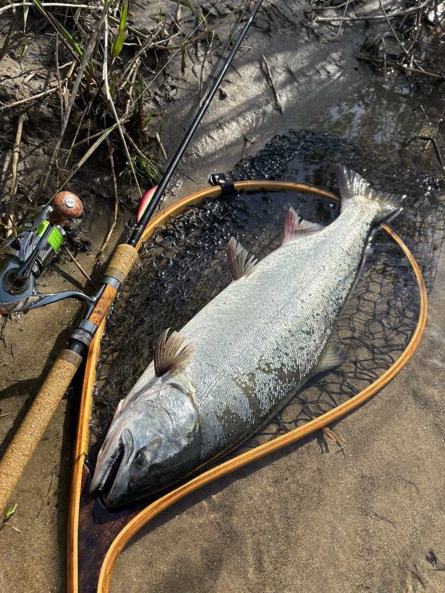 NARI＠乞食 tweet media