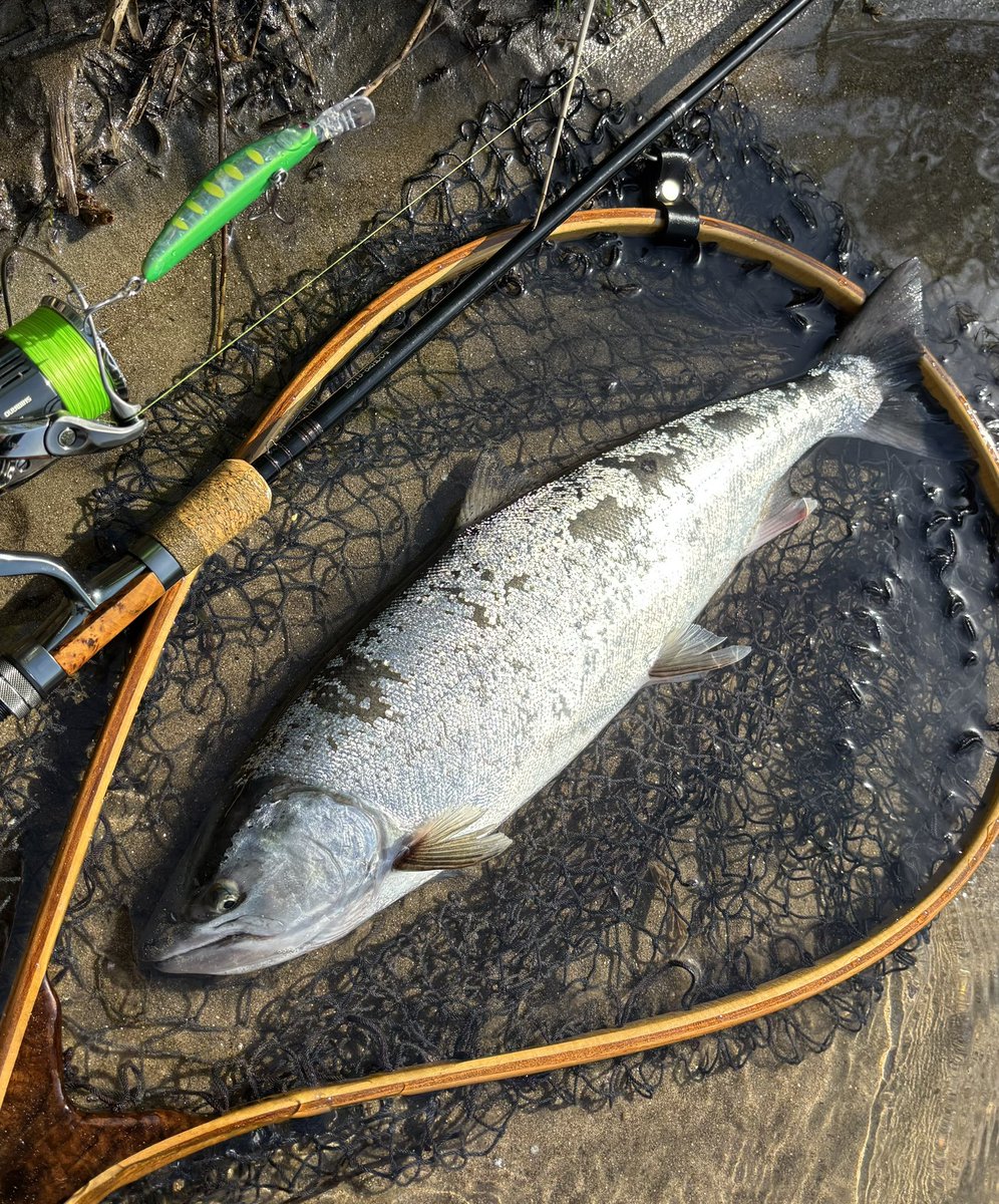 NARI＠乞食 tweet media