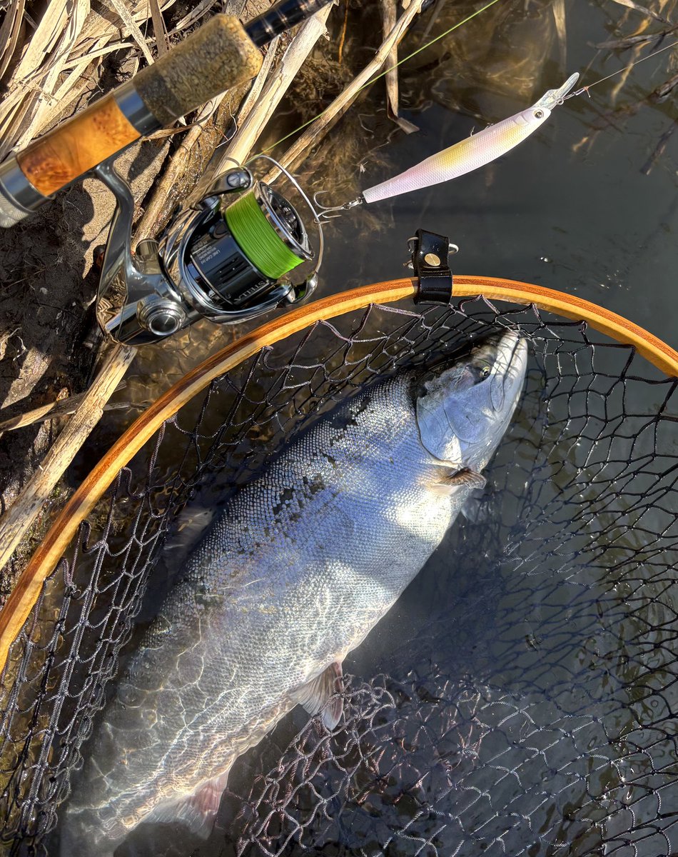 NARI＠乞食 tweet media