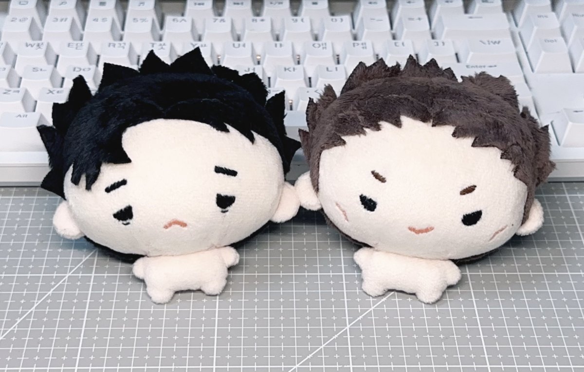 종이라떼🍀 tweet media