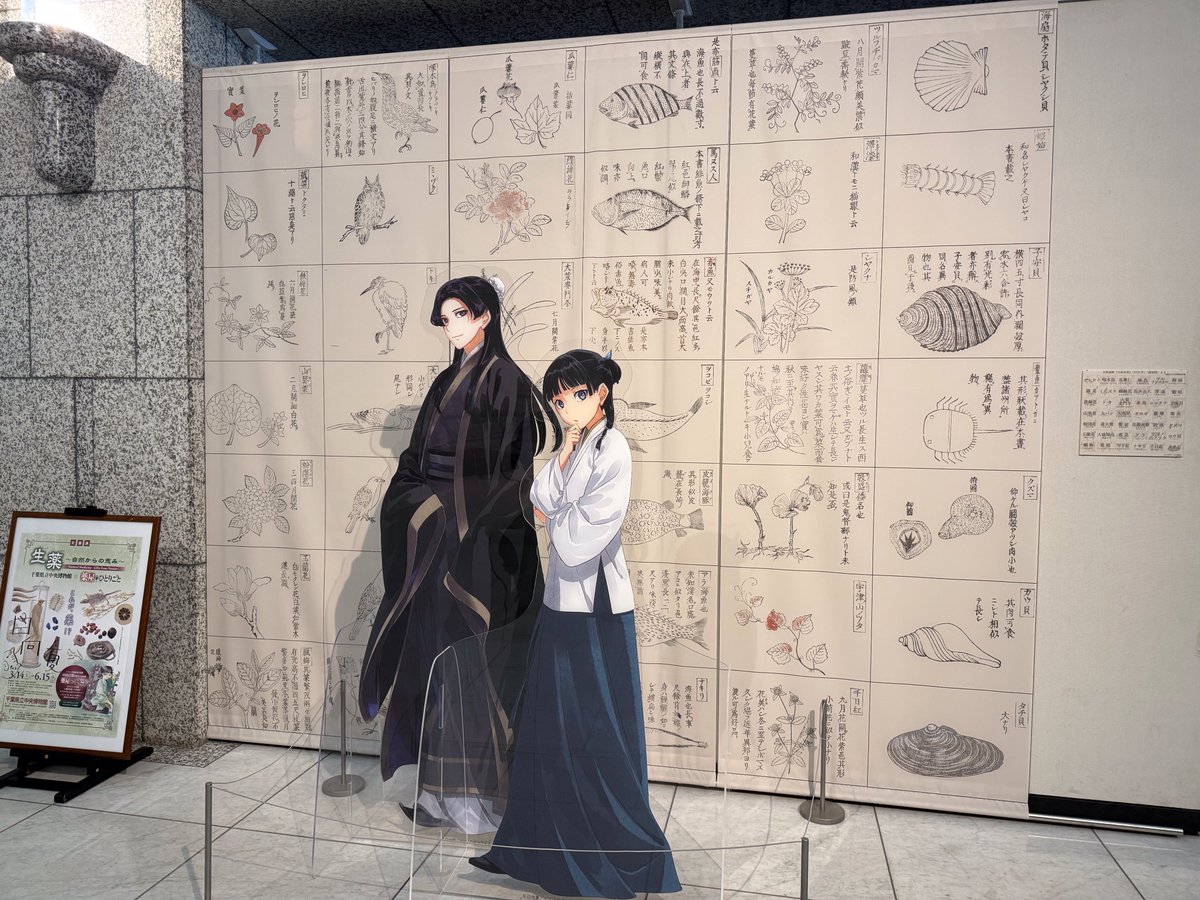 Qw8eOr's tweet photo. 千葉県立中央博物館の生薬展行ってきました。
すごい良かった。
作中の本文と一緒に展示してくれててイメージが湧きやすくて良かった
薬屋関連の展示会では過去1楽しめたかも。空いてるのも良かったし、常設展も面白かった。剥製が色々あって良い。小さい虫も雑草も全部名前つけた人いる事に感動した https://t.co/Jwm4Tf92pW