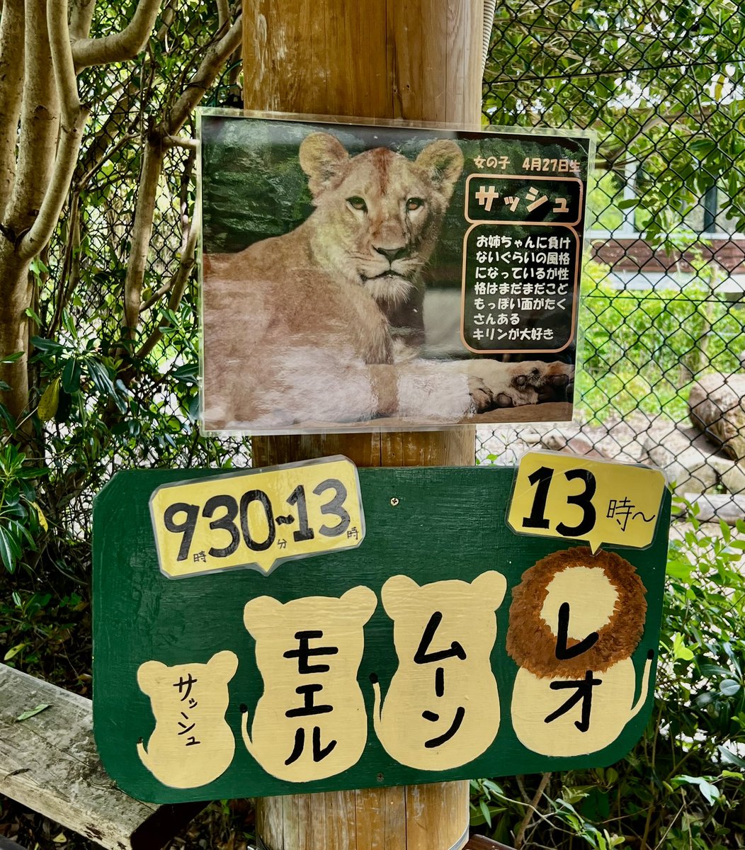 くまとねこ (@bear_87cat) / Posts / X くまとねこ (@bear_87cat) / Posts / X