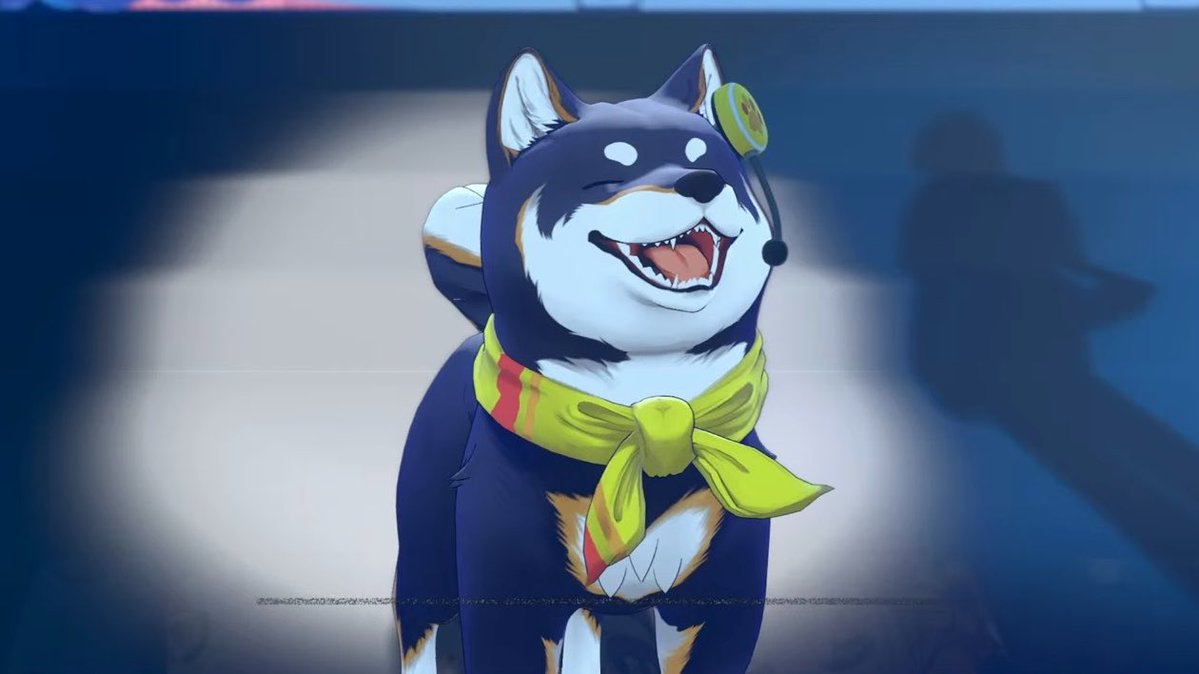 過去のしばちゃん、あなたは2年余の未来に2人と並んで歌って笑ってるから大丈夫
夢を叶えてくれてありがとう、おめでとう