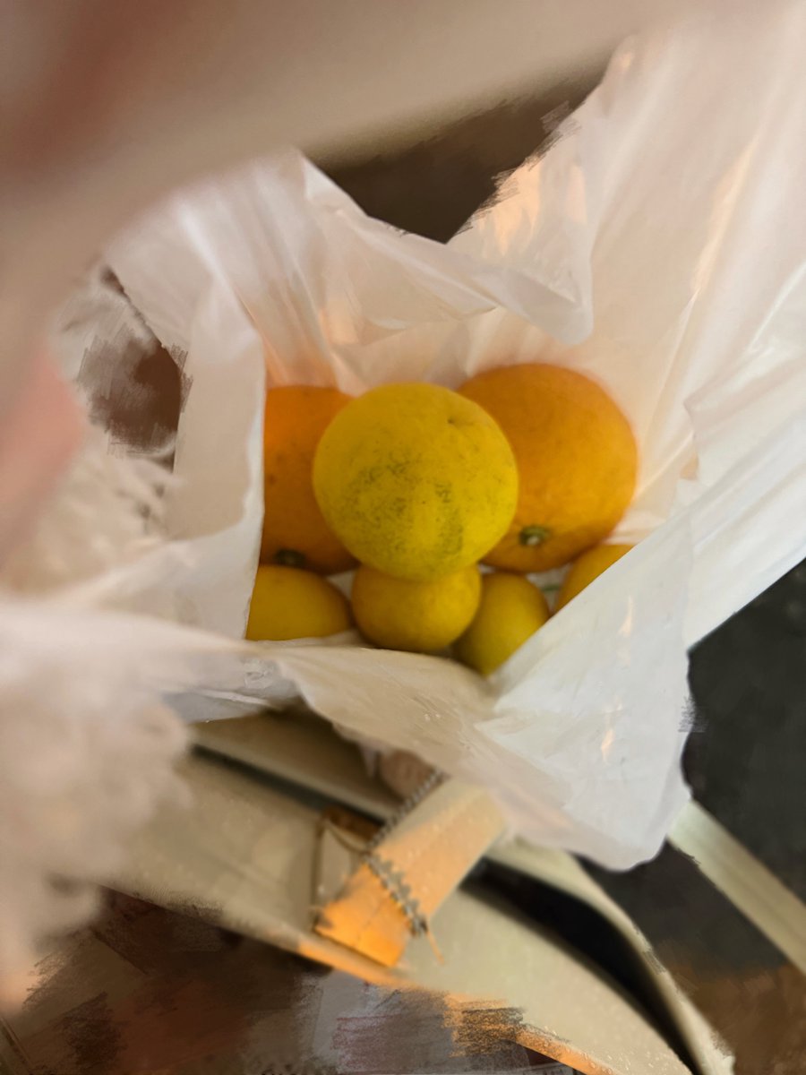 山田 杏佳 tweet media