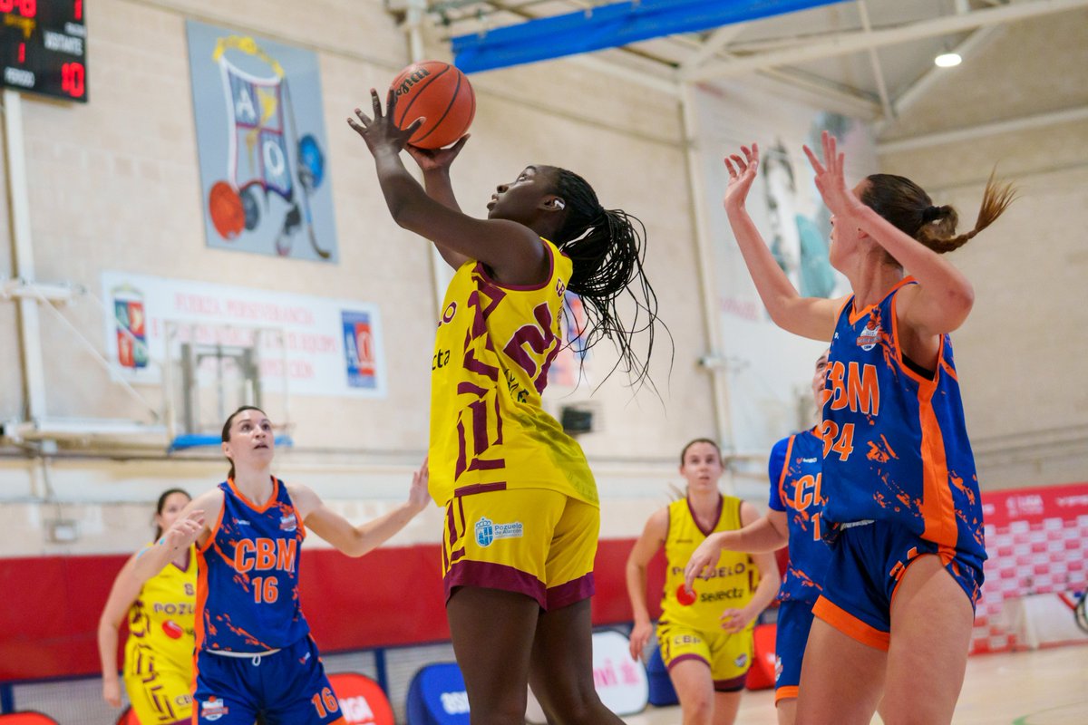 Fed. Bcto. de Madrid tweet media