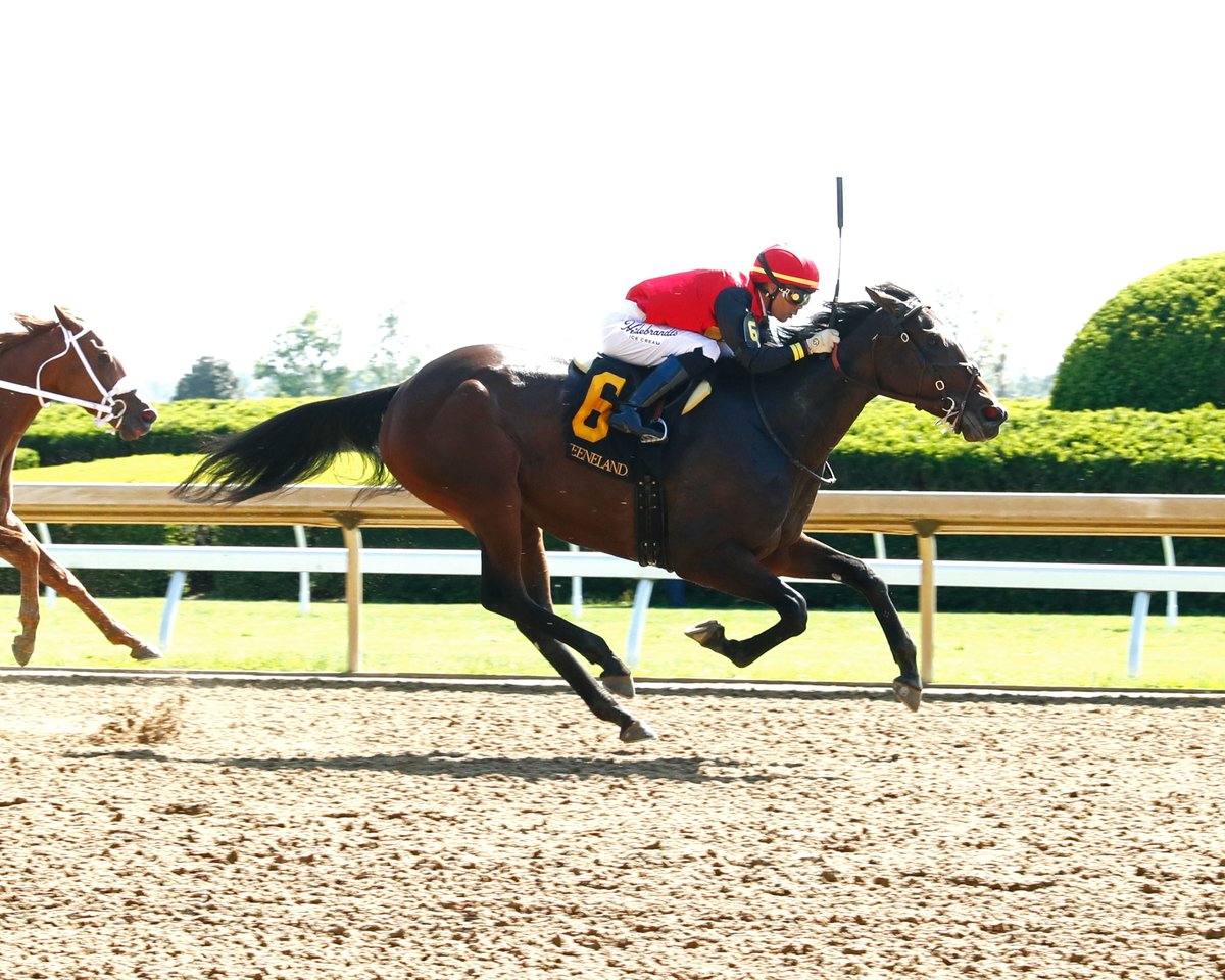 zonahipica's tweet photo. Evanescence 🇺🇸 (Munnings – Lovely Carina por Pionnerof The Nile), voló al final, para ganar, en la carrera #7 (Allowance Optional Claiming) de @keeneland #22Abr, e hizo tiempo ⏱️ de: 1’16”53 (1300). Montó, José Luis Ortiz (3) y entrenó, Eddie Kenneally
📸: @coadymediaUSA https://t.co/pgoR2TTrfz