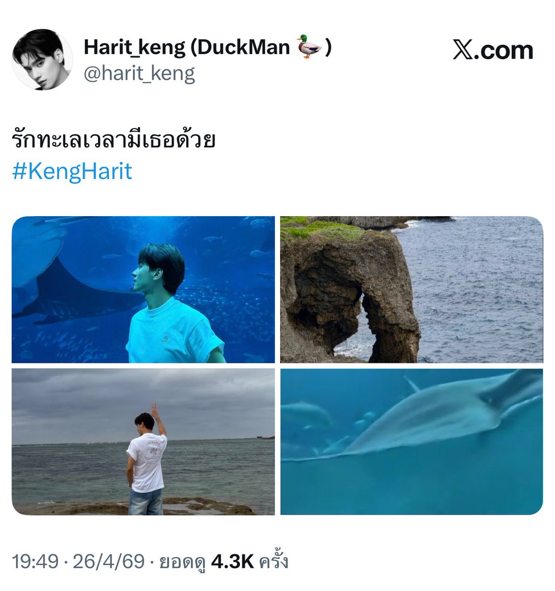 pormor ꒰˘͈ᵕ˘͈꒱🫧🍏🪴 tweet media