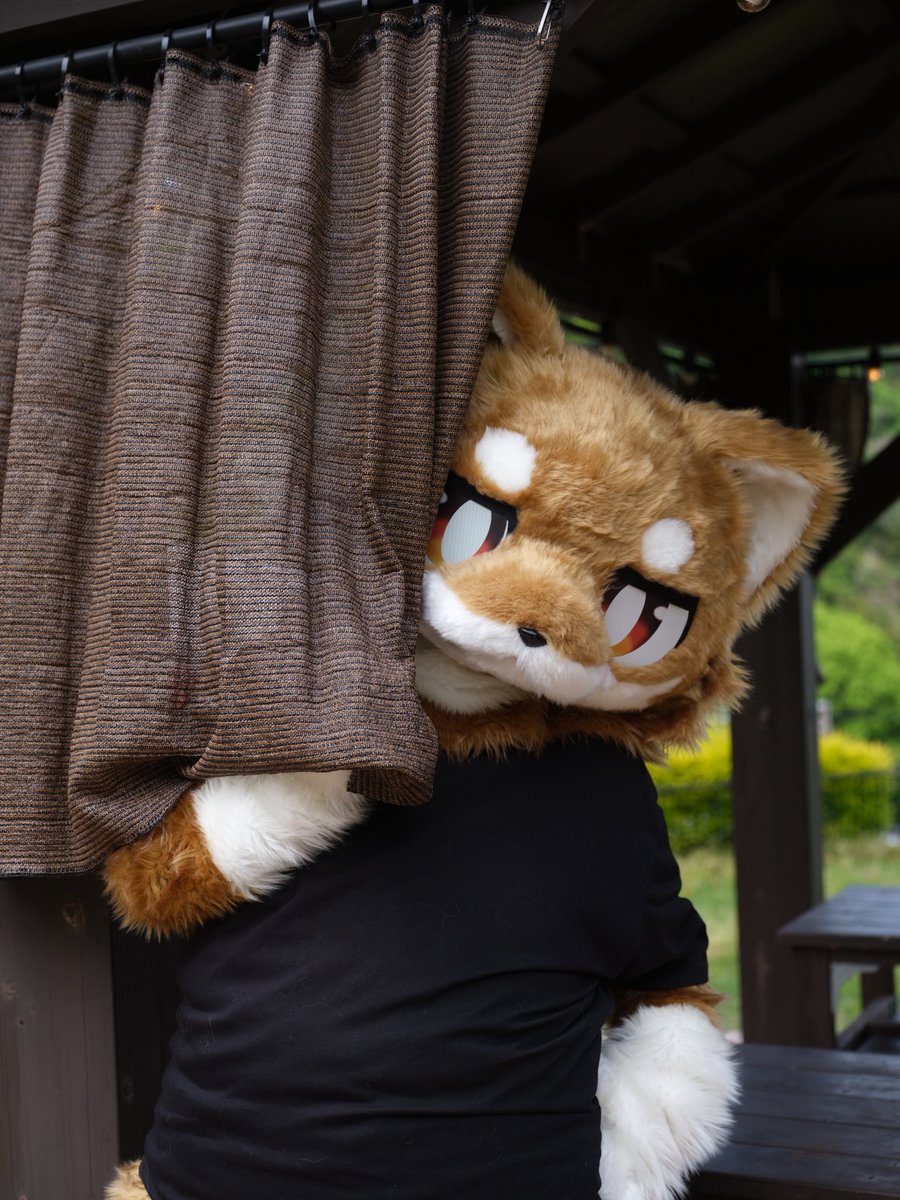 俺に惚れんじゃねぇよ…
火傷するぜ

📸なっつ氏（<a href="/nattu_neon/">なっつ</a> ）
#いぬご家わふふ会