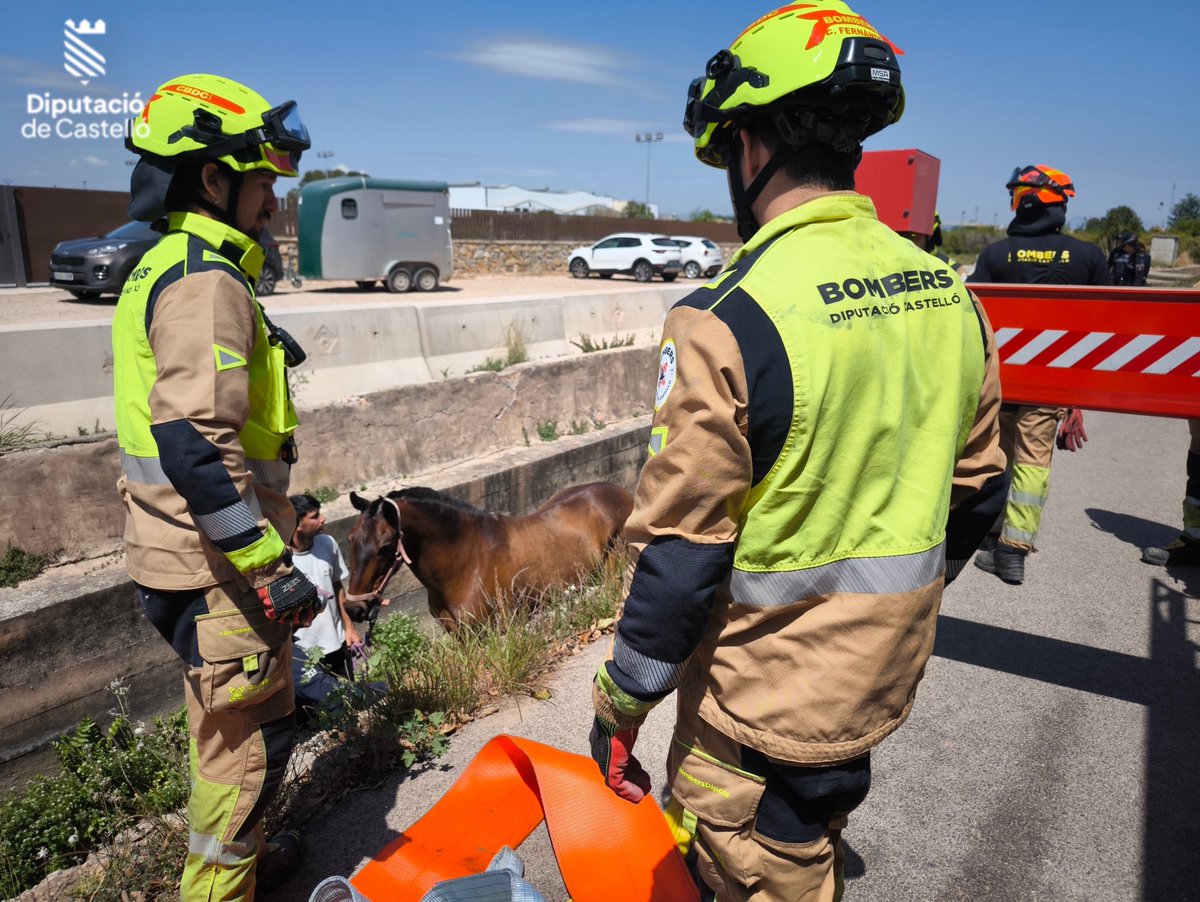 Bombers Dipcas tweet media