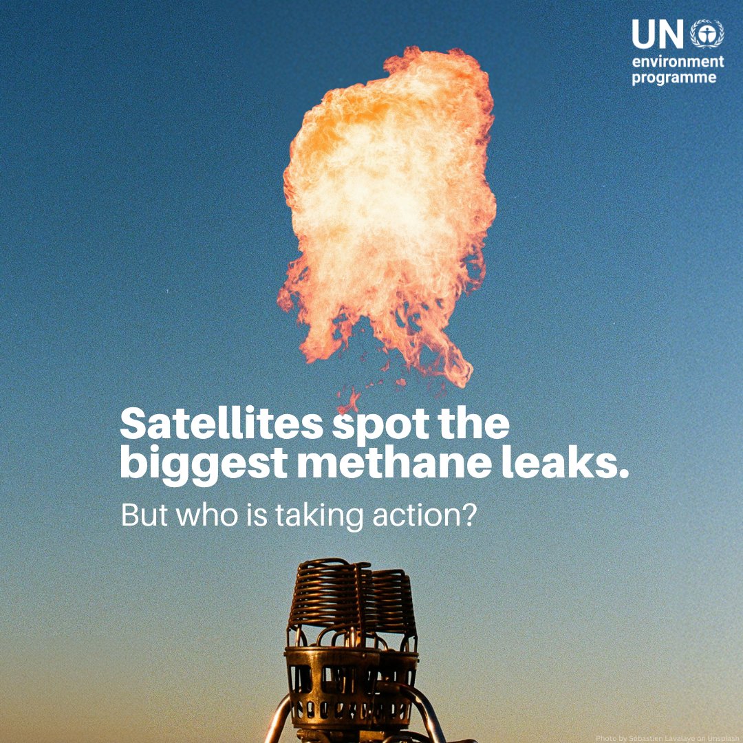 UN Environment Programme tweet media