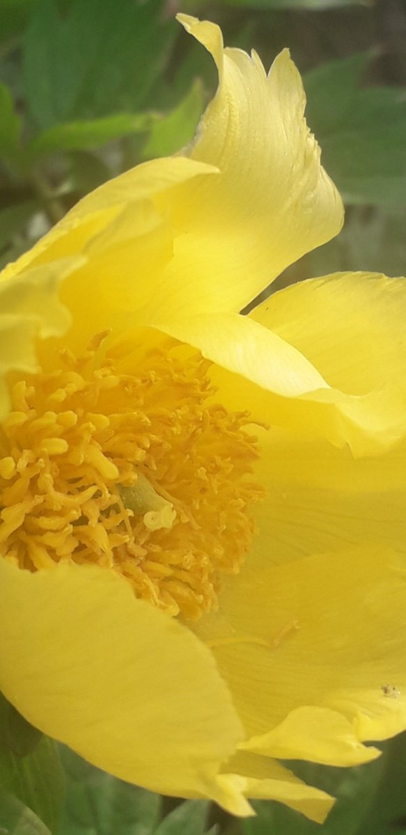 Darren Bird tweet media