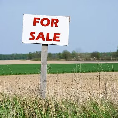 NewsWire tweet media