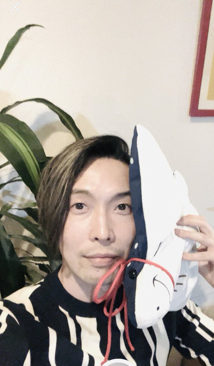 岡崎大樹 tweet media