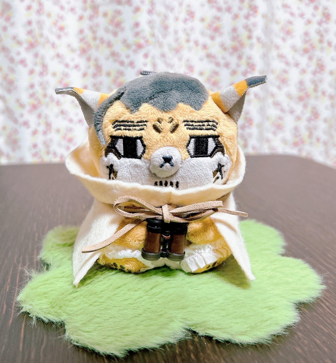 のん🐾🌙 tweet media