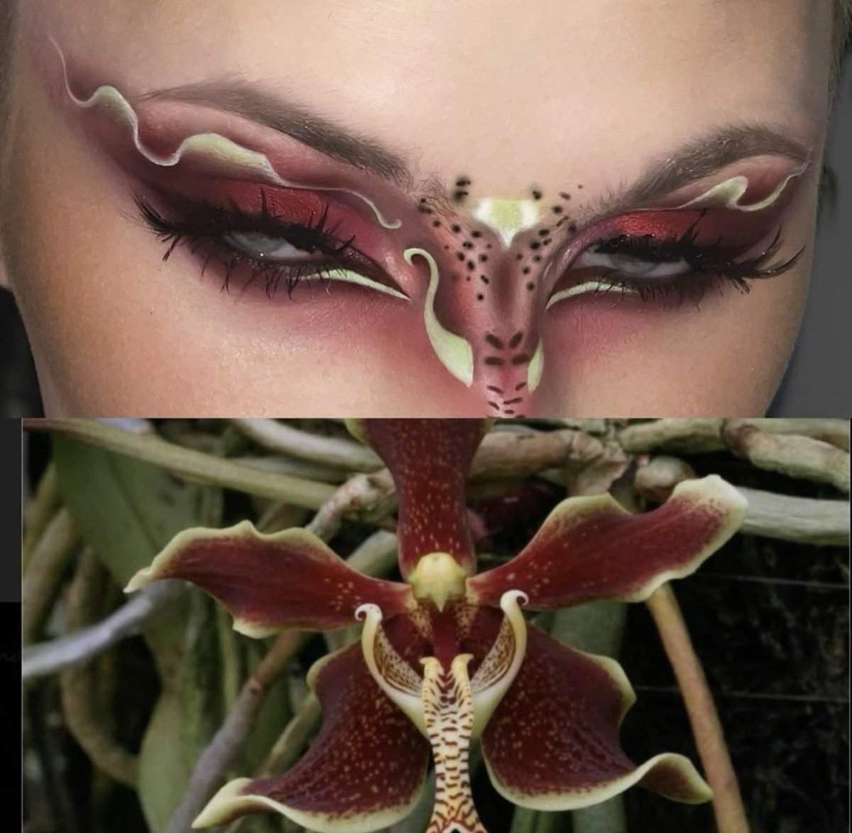 eye makeup inspired by nature
