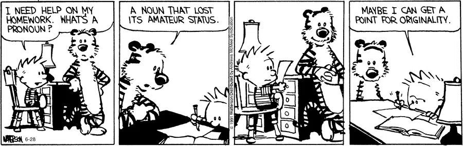 #CalvinandHobbes