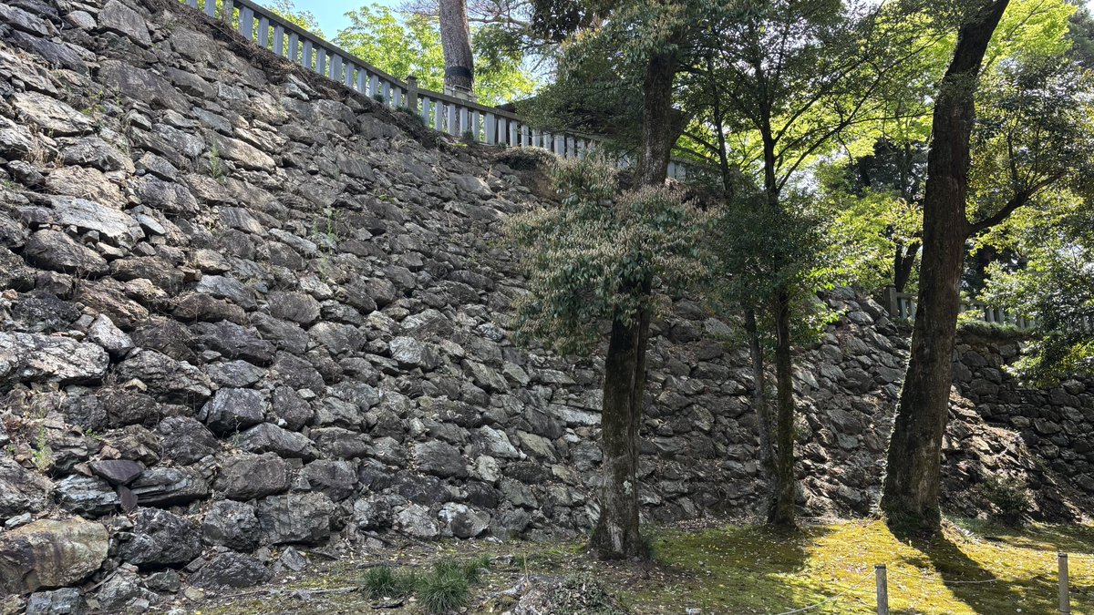 火曜日のよもぎ🍡 tweet media