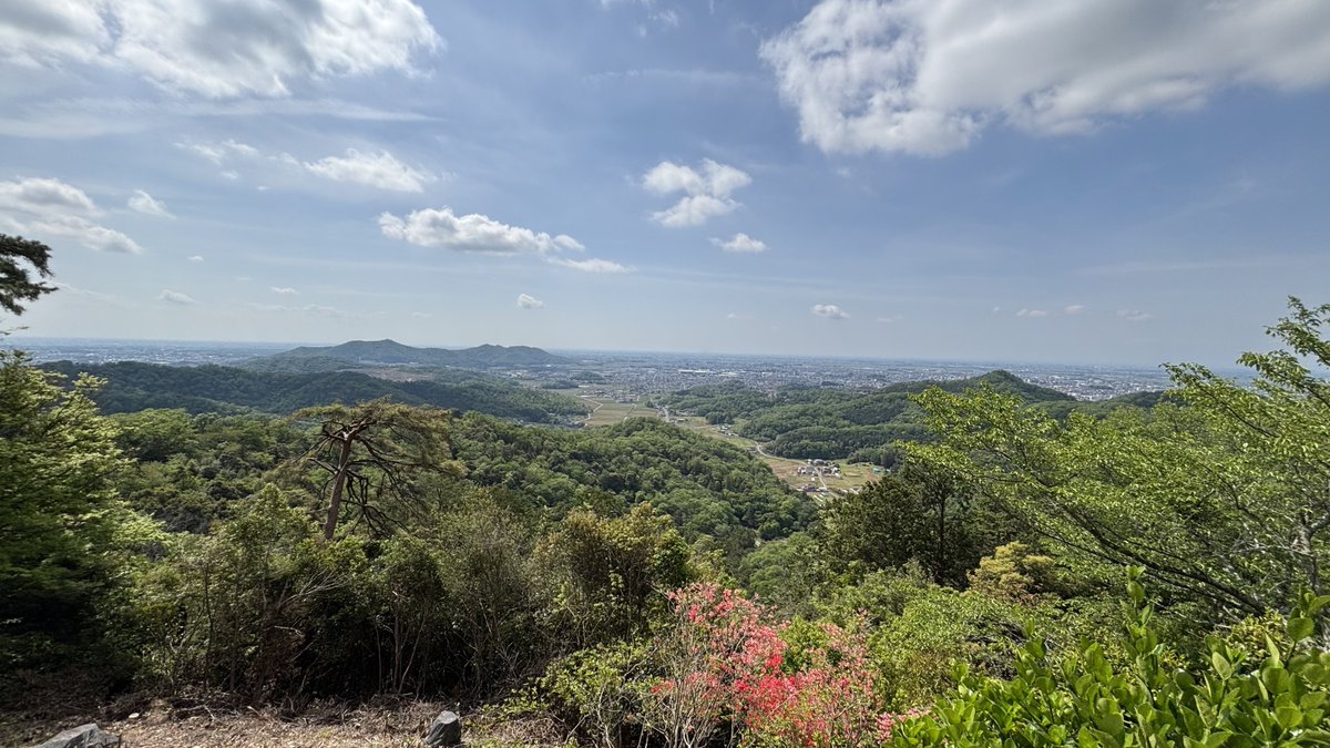 火曜日のよもぎ🍡 tweet media