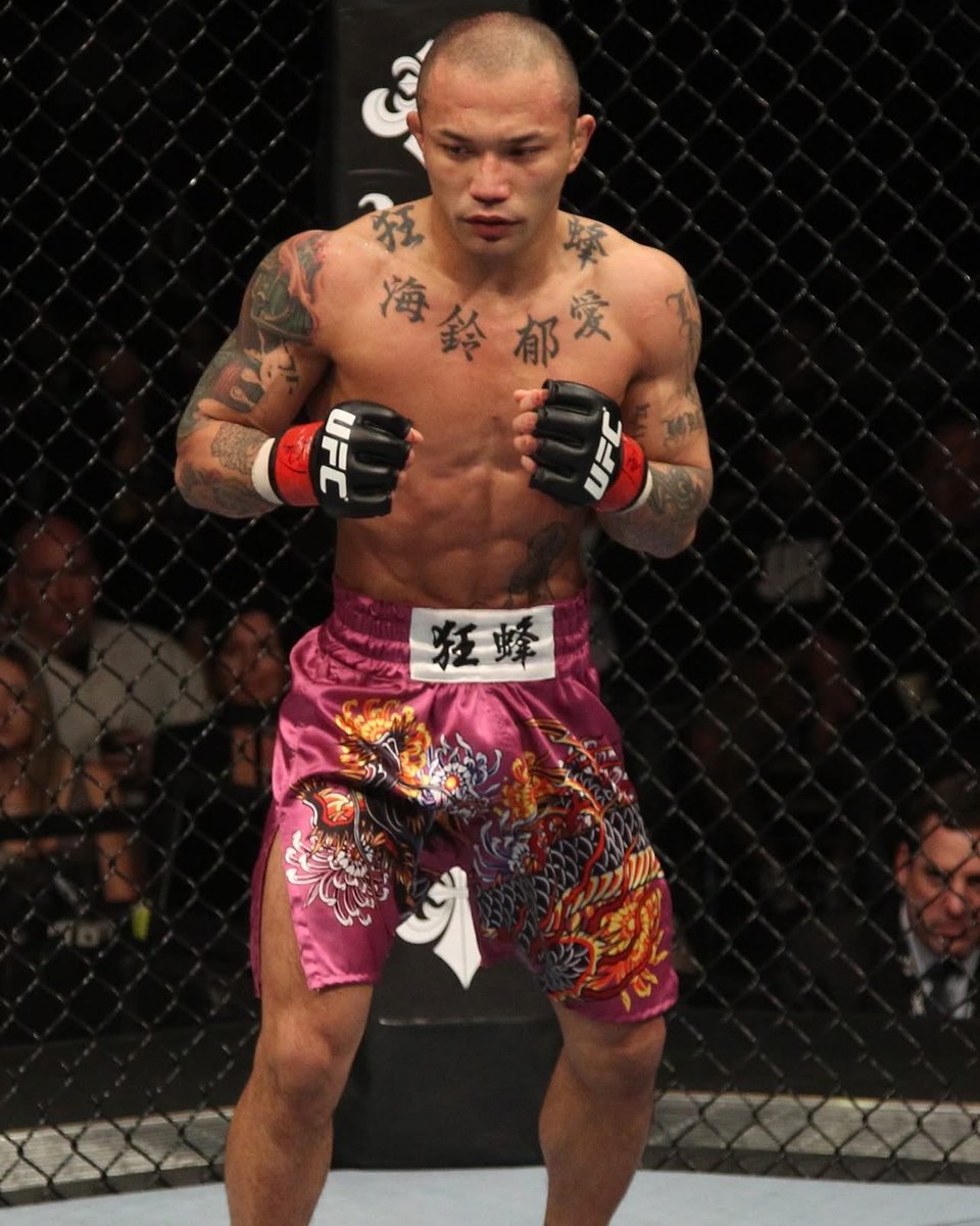 MrTestoestrogen tweet media