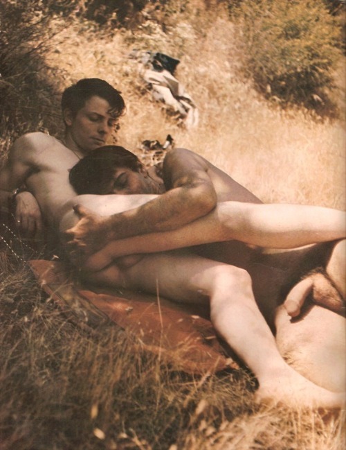 Il Paradiso delle Corna tweet media