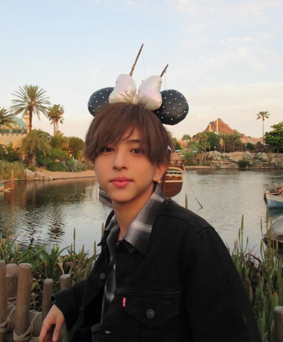 노 아 . tweet media