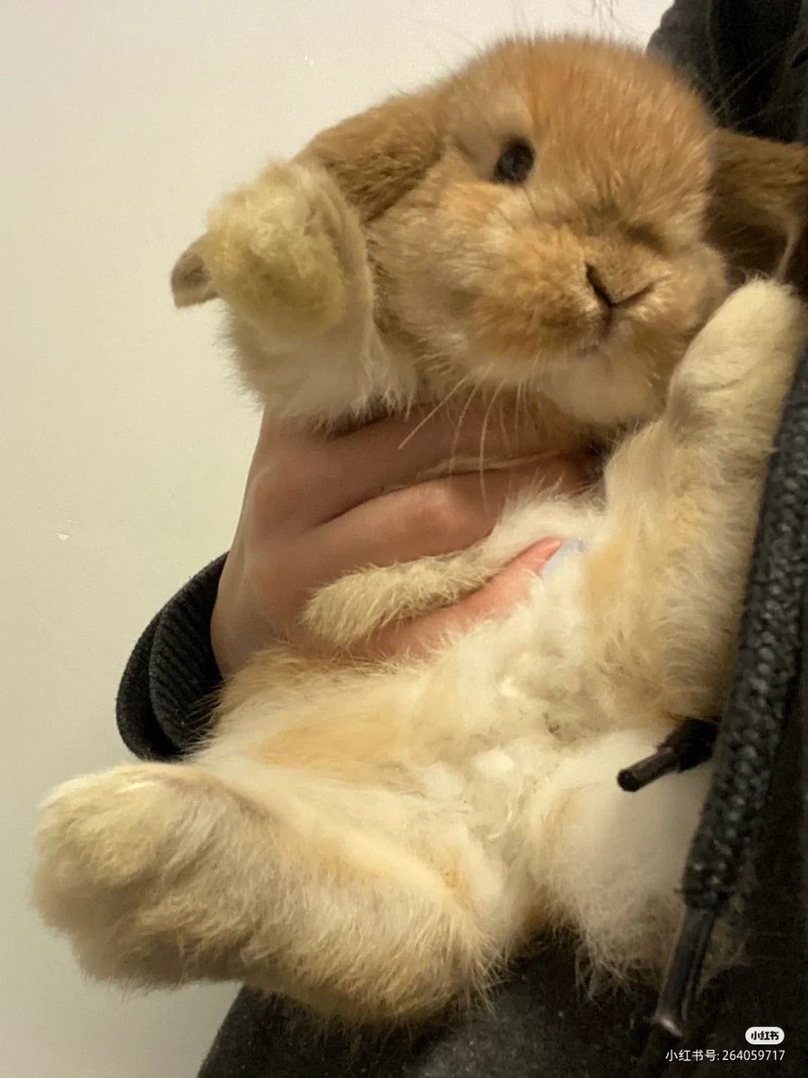 외골수 tweet media