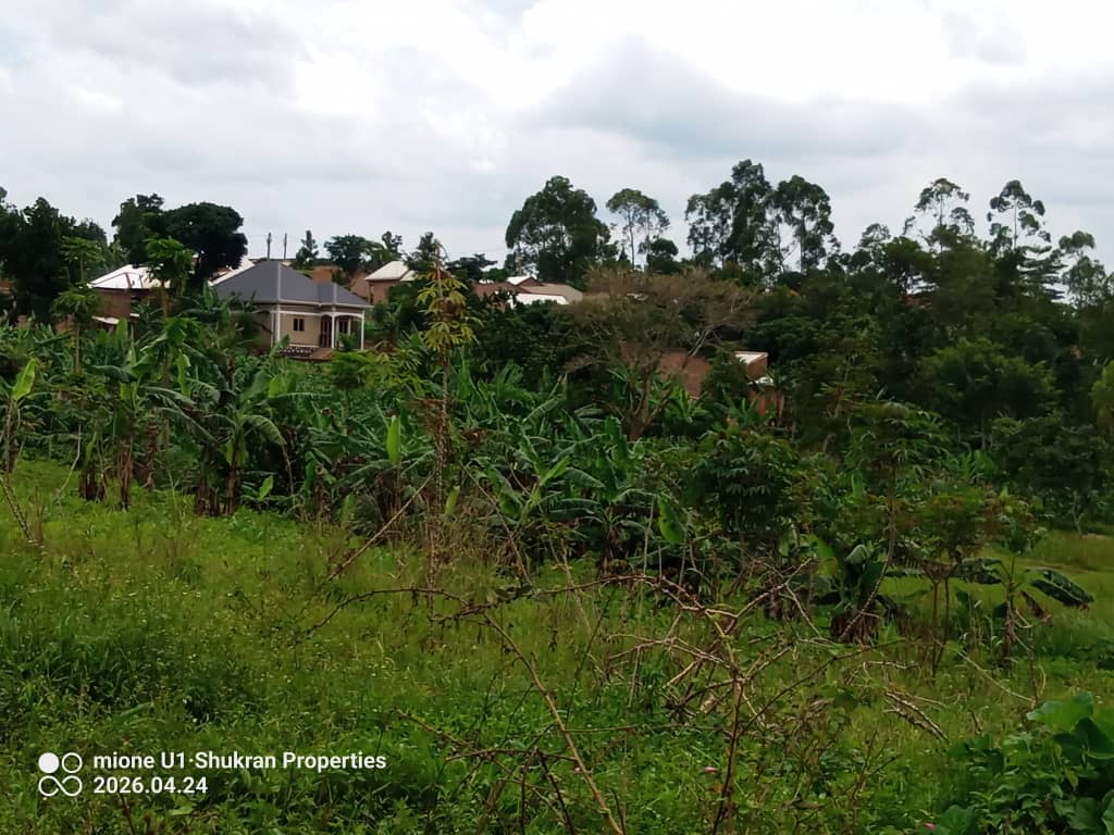 shukranproperty's tweet image. LAND FOR SALE

Located at #Matugga Lwemwedde Town on Semuto road 

3km from main Tarmac 

#13Decimals private mailo Titles

Selling Price at #12m Ugx 

0706592177
