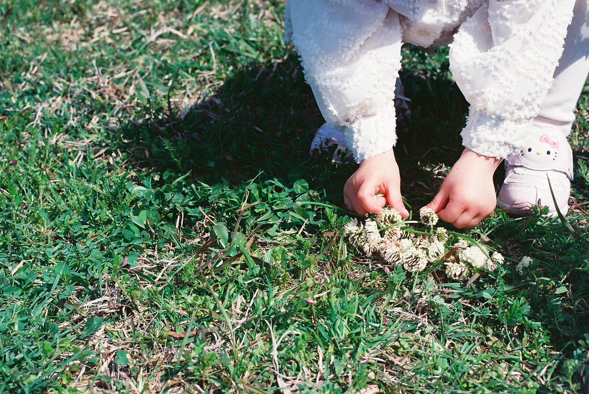 Image for the Tweet beginning: 【📝今週行ったタスク】

#デイトラ #デイトラコミュニティ

〈本業🎨〉
☑︎同梱チラシ２枚
☑︎会報誌
☑︎デザイン研修担当

〈個人事業🧑‍💻〉
☑︎LP案件受注▷初MTG
☑︎HP用チラシ制作
☑︎夫婦撮影
☑︎5月の撮影打ち合わせ

〈スキルアップ💪〉
☑︎チームMTG
☑︎ウェビナー2本視聴 