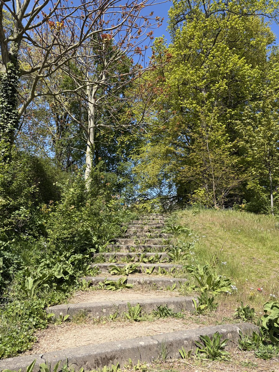 reconnecting with nature after staying up way too late