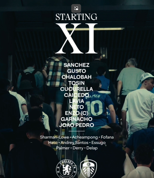 Tom's Dinosaur Opinion tweet media