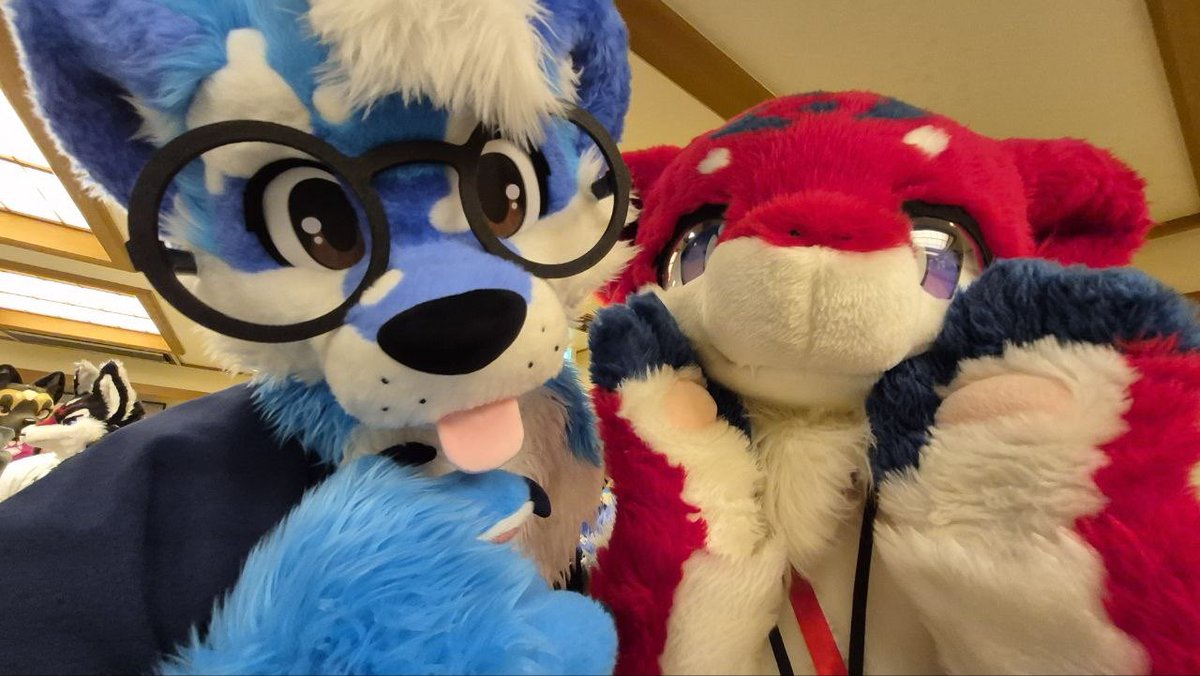 cloudisalright's tweet photo. So many fluffy friends!!!

#けものノおふ5 https://t.co/obLdd2F49v