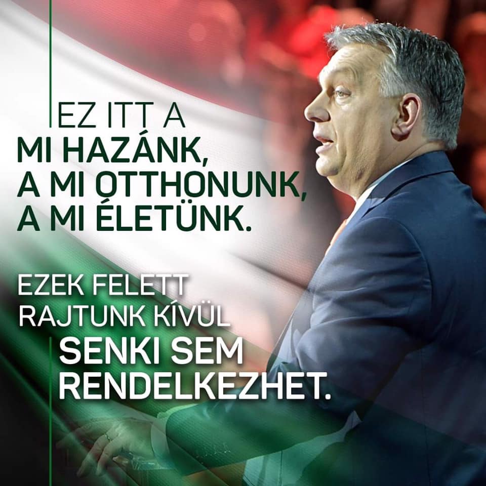 Noced Ly tweet media