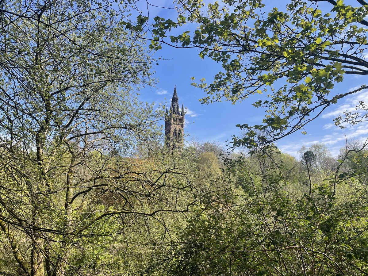 J1968 💙💚❤️ tweet media