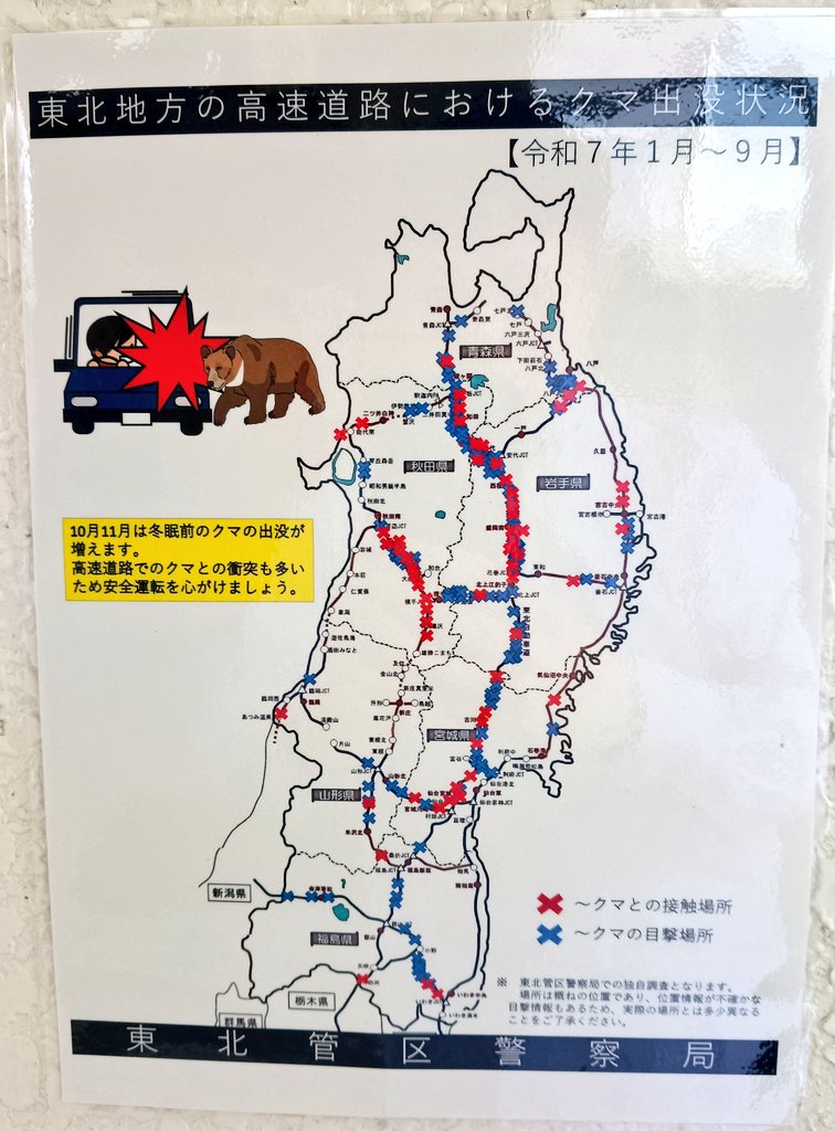 𝑺𝒖𝒑𝒆𝒓 𝑺𝒊𝒏𝒈𝒍𝒆 𝑱𝒖𝒔𝒕 𝑳𝒐𝒘 (𝑴𝒂𝒌𝒊) tweet media