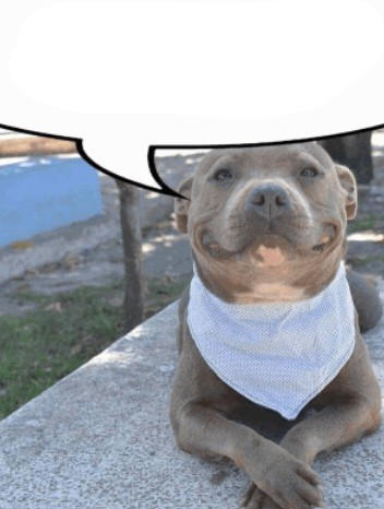 Ned Flanders Patriot 🏴󠁧󠁢󠁥󠁮󠁧󠁿 tweet media